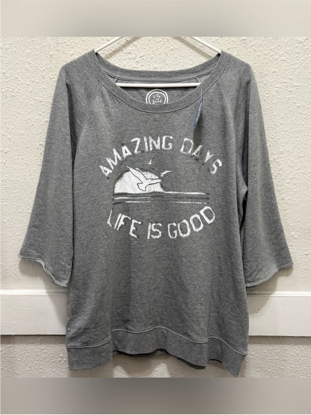 NWT Life Is Good Gray 'Amazing Days' Graphic Pullover ocean bird sweatshirt L